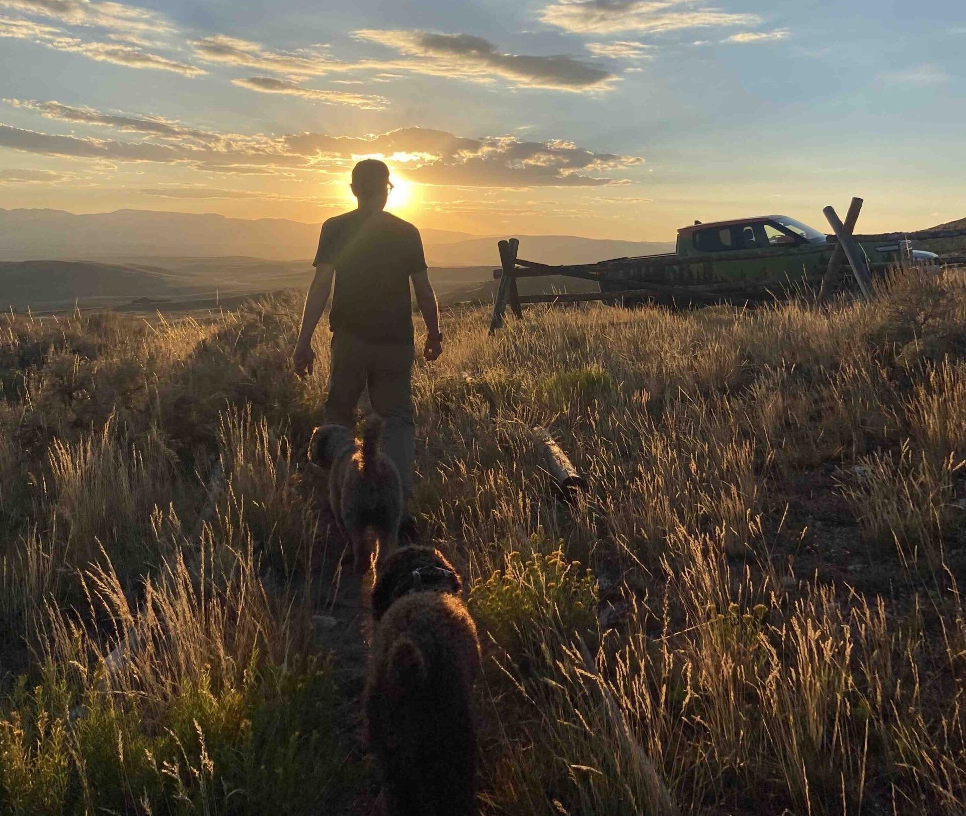 A dark Rivian R1T truck parked on an empty American highway at golden hour with a Spanish Water Dog in the truck bed